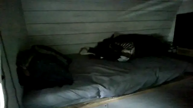 Snapshot of ThisGuy42o chatting on July 5, 4:25 pm ThisGuy42o online show from July 5, 4:25 pm
