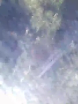 Snapshot of Philebranleur chatting on July 6, 9:17 am Philebranleur online show from July 6, 9:17 am