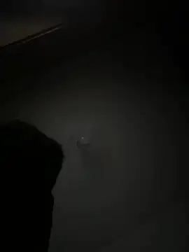 argentvifal online show from June 26, 2:38 am