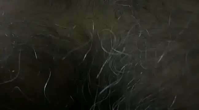 SatBull007 online show from January 18, 6:10 pm