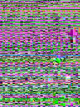 Snapshot of Jelmer57 chatting on July 24, 8:51 pm Jelmer57 online show from July 24, 8:51 pm