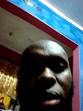 Snapshot of collily chatting on August 1, 9:25 pm collily online show from August 1, 9:25 pm