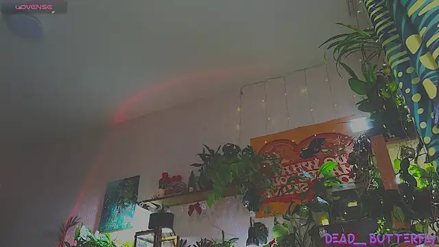 Snapshot of Dead_Butterfly chatting on December 18, 11:02 am Dead Butterfly online show from December 18, 11:02 am