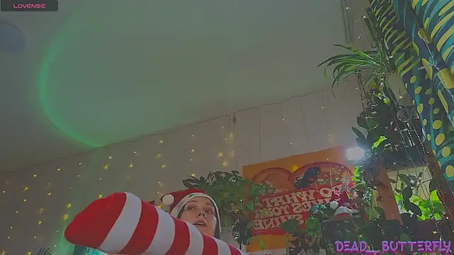 Snapshot of Dead_Butterfly chatting on December 27, 4:15 am Dead Butterfly online show from December 27, 4:15 am