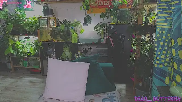 Snapshot of Dead_Butterfly chatting on February 16, 4:20 am Dead Butterfly online show from February 16, 4:20 am