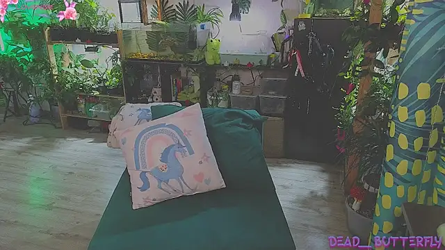 Snapshot of Dead_Butterfly chatting on March 13, 3:33 am Dead Butterfly online show from March 13, 3:33 am