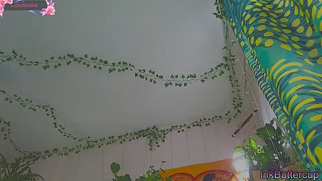 Snapshot of Dead_Butterfly chatting on September 24, 3:32 am Dead Butterfly online show from September 24, 3:32 am