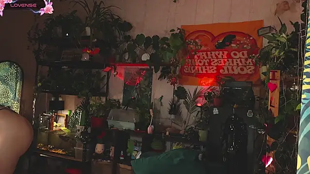 Snapshot of Dead_Butterfly chatting on November 1, 3:08 am Dead Butterfly online show from November 1, 3:08 am