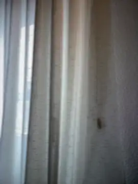 Chic desire online show from March 20, 10:09 am