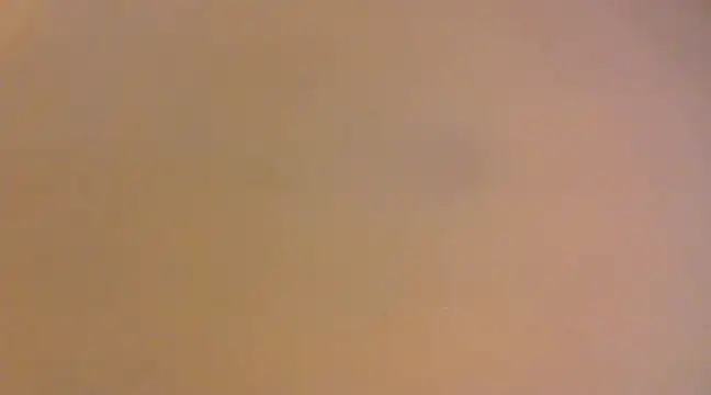 lilpervt online show from December 21, 11:55 am