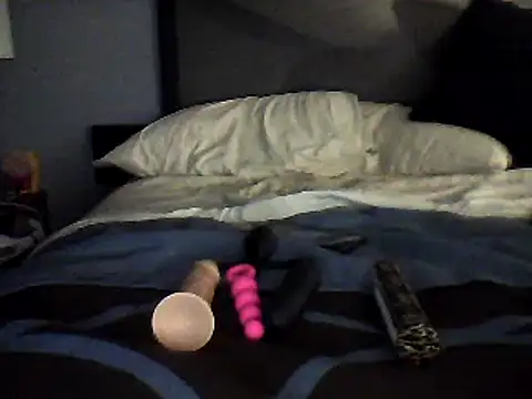 Snapshot of Biknight chatting on December 15, 6:29 am Biknight online show from December 15, 6:29 am