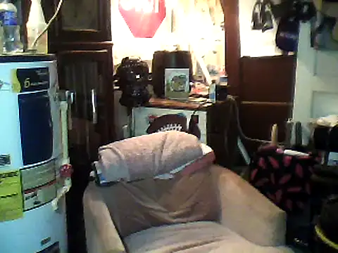 Snapshot of Biknight chatting on February 12, 4:44 pm Biknight online show from February 12, 4:44 pm