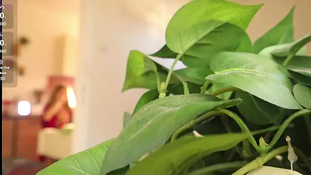 Kishaxxx online show from March 6, 2:08 pm