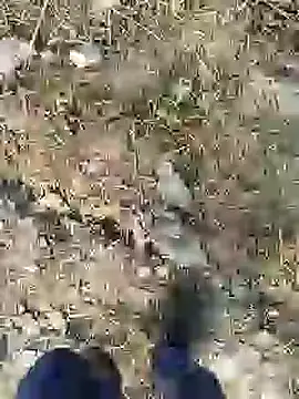 ThethunderPo online show from December 28, 2:43 am