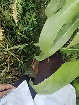 ThethunderPo online show from March 21, 2:50 am