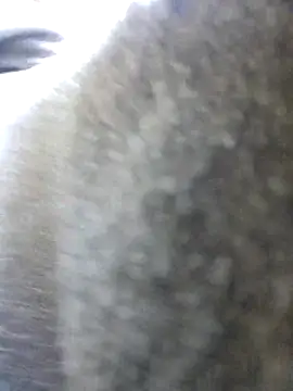 Snapshot of UncutHammer69 chatting on October 26, 11:53 pm UncutHammer69 online show from October 26, 11:53 pm