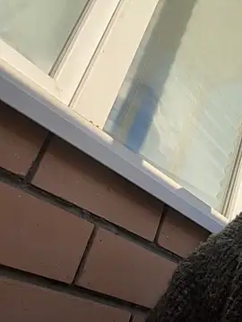 so cutes online show from March 19, 1:29 pm