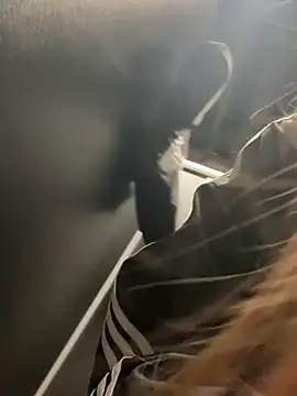 so cutes online show from November 10, 10:14 am