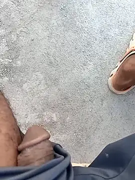 Bengali BULL1 online show from October 1, 10:43 am