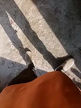 Bengali BULL1 online show from November 19, 9:09 am