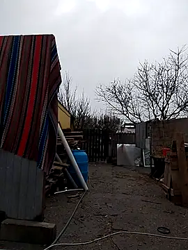 sarpe4 online show from November 9, 8:56 am