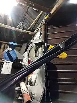 sarpe4 online show from November 10, 2:49 pm