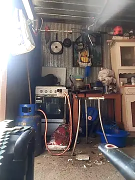 sarpe4 online show from April 14, 9:15 am