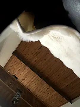 odbodu online show from November 22, 8:52 pm