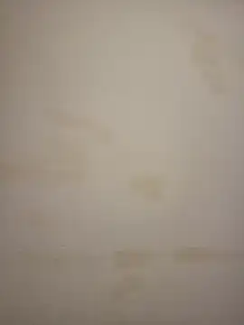 Adivaaa online show from March 25, 11:27 am