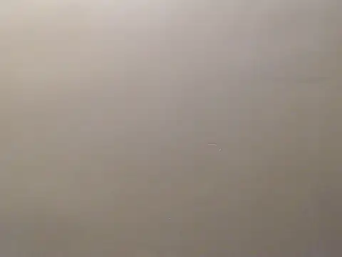 Snapshot of Bigg_Pussyy_Catt chatting on September 19, 9:22 am Bigg Pussyy Catt online show from September 19, 9:22 am