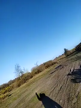 Muzz 2020 online show from April 10, 6:51 am