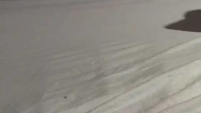 Snapshot of Vandrino chatting on March 15, 3:07 am Vandrino online show from March 15, 3:07 am