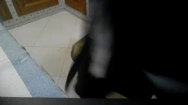Snapshot of polloiw chatting on October 18, 7:36 pm polloiw online show from October 18, 7:36 pm