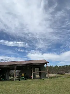 Sitonmyface2020xh online show from March 3, 3:53 pm