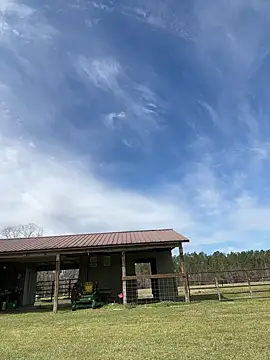 Sitonmyface2020xh online show from March 3, 10:10 pm