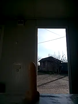 david geam online show from March 14, 6:42 am