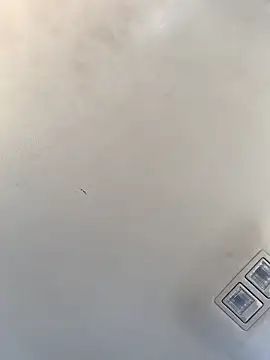 Tristris100 online show from December 23, 8:14 pm