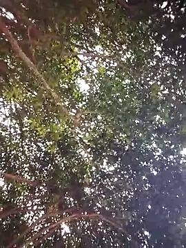 Brenda Berck  online show from April 5, 12:57 pm