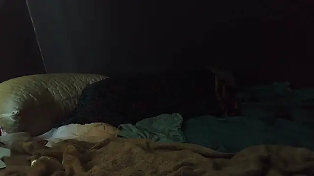 k-dong online show from February 1, 4:49 pm