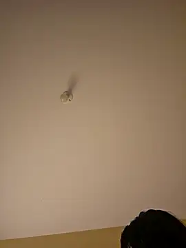 Latin summer online show from January 8, 2:03 am