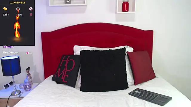 Snapshot of Rouss_Meyers chatting on February 6, 6:56 pm Rouss Meyers online show from February 6, 6:56 pm