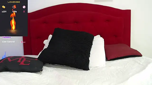 Snapshot of Rouss_Meyers chatting on February 25, 7:36 pm Rouss Meyers online show from February 25, 7:36 pm