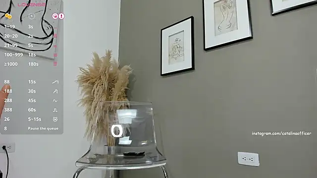 Snapshot of catalinaofficer chatting on December 25, 7:24 pm catalinaofficer online show from December 25, 7:24 pm