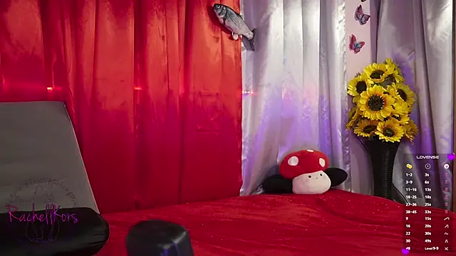 Snapshot of Rachellkors chatting on February 17, 11:34 am Rachellkors online show from February 17, 11:34 am