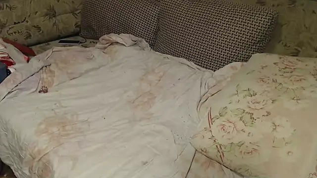 Snapshot of FancyLily chatting on September 13, 8:14 am FancyLily online show from September 13, 8:14 am