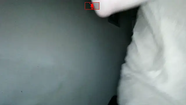 Snapshot of Ethangay chatting on November 2, 6:27 am Ethangay online show from November 2, 6:27 am