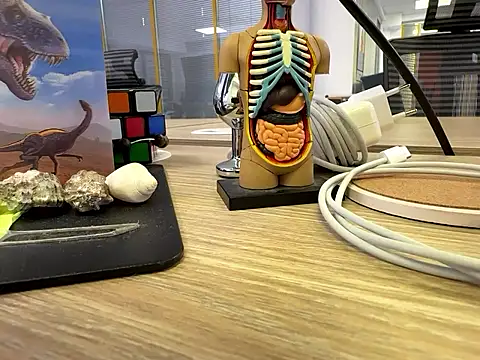 fmodel online show from September 24, 11:24 am