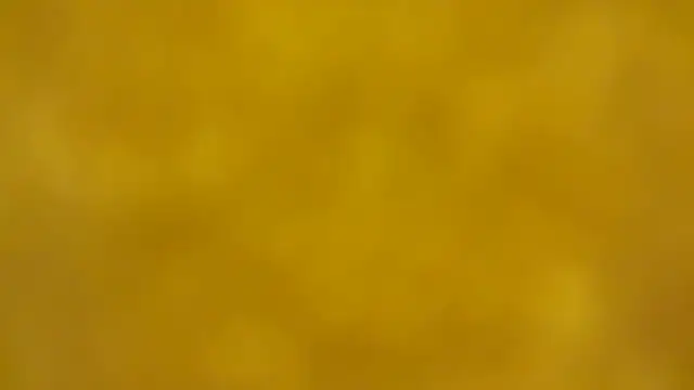 fmodel online show from December 16, 2:33 pm