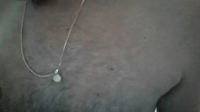 Leo Big online show from February 26, 10:14 am