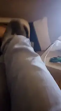 Snapshot of InMeinenMund chatting on January 13, 2:39 am InMeinenMund online show from January 13, 2:39 am